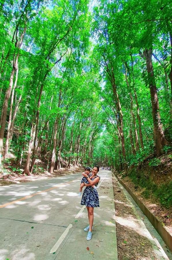Sapphire Boutique Resort Panglao Dış mekan fotoğraf