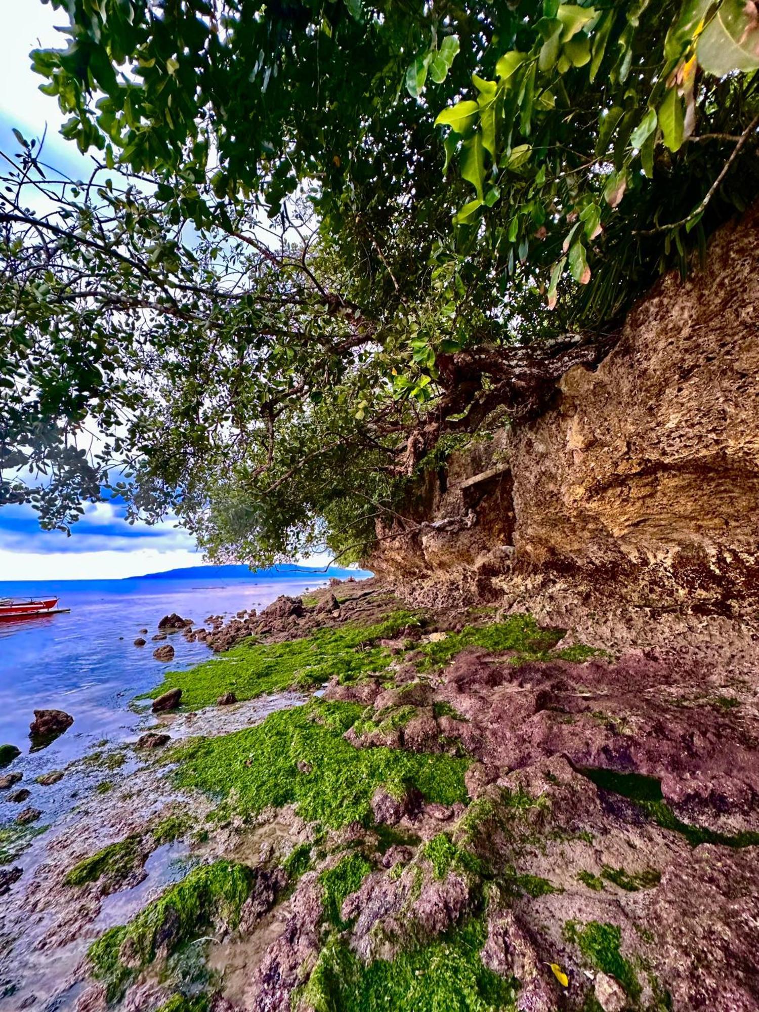 Sapphire Boutique Resort Panglao Dış mekan fotoğraf